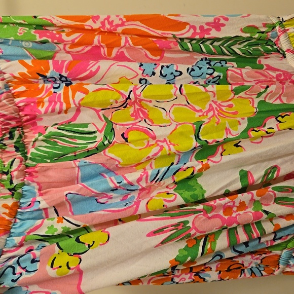 Lilly Pulitzer x Target elastic maxi dress - Picture 3 of 5